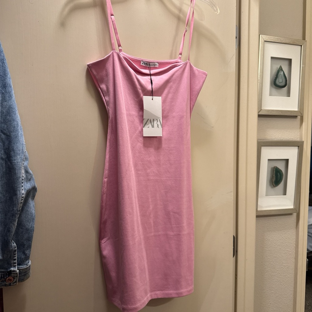 Zara Blush Pink Dress
